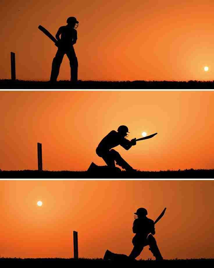 Cricket at sunset