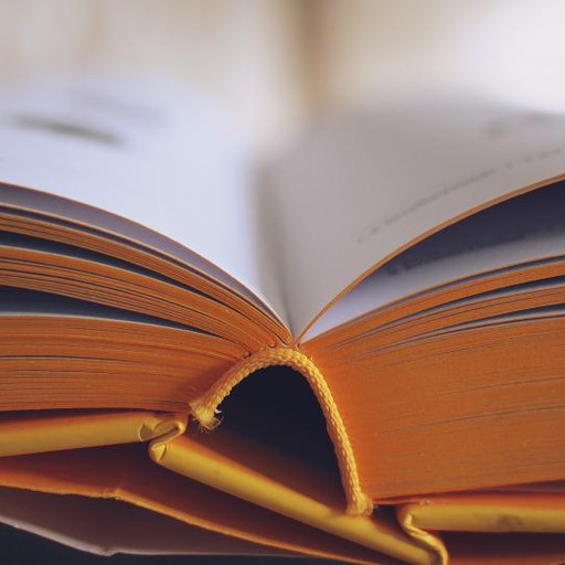 Book 1 — Beginner (American English)